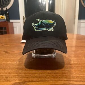 Vintage Tampa bay devil‎ rays SnapBack hat